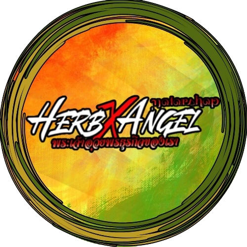 Herb and Angel Pro Plus